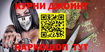 прущие грибы Усть-Джегута