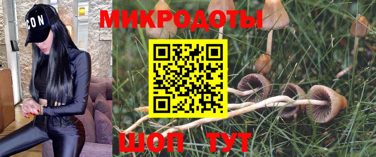 Псилоцибиновые грибы прущие грибы Ачинск
