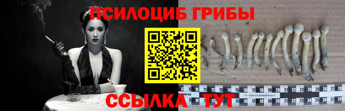 Псилоцибиновые грибы прущие грибы  Вход с VPN  Ачинск 